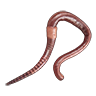 Worm Bait